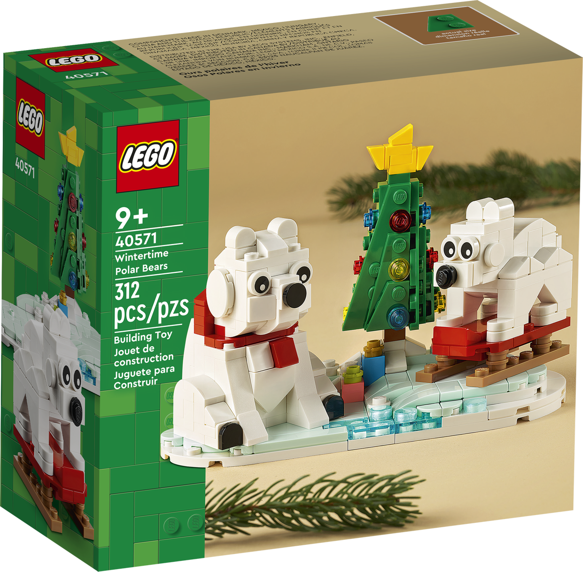 40571: Wintertime Polar Bears